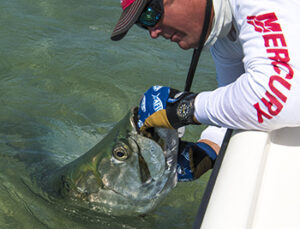 Tarpon Fishing In Key West Guided Charters And Trips