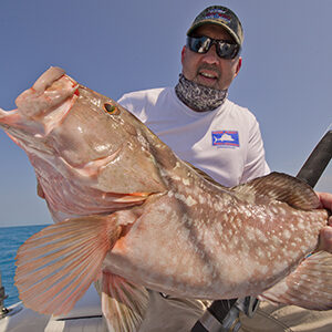 Reef fishing for red grouper
