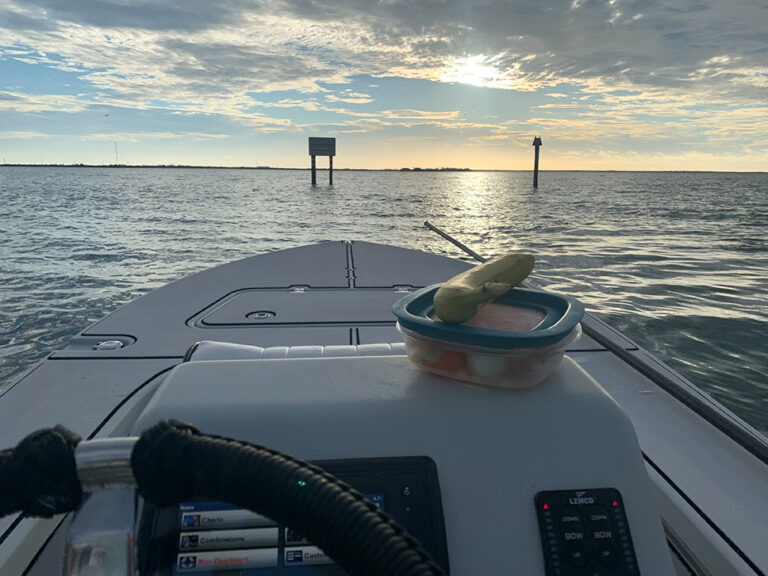 Inshore Fishing In The Fall Key West Fishing Charters Go With Capt