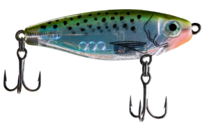 Reef fishing report