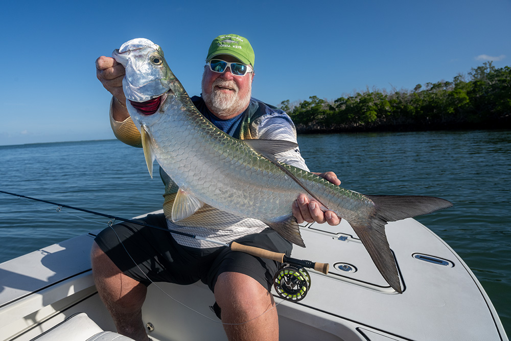 Key West fishing report, baby Tarpon